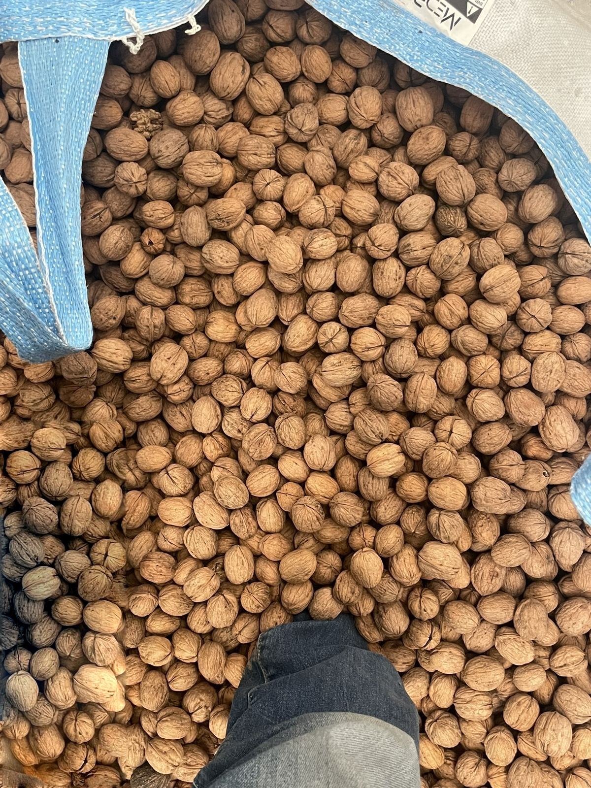 Nueces listas para empaque