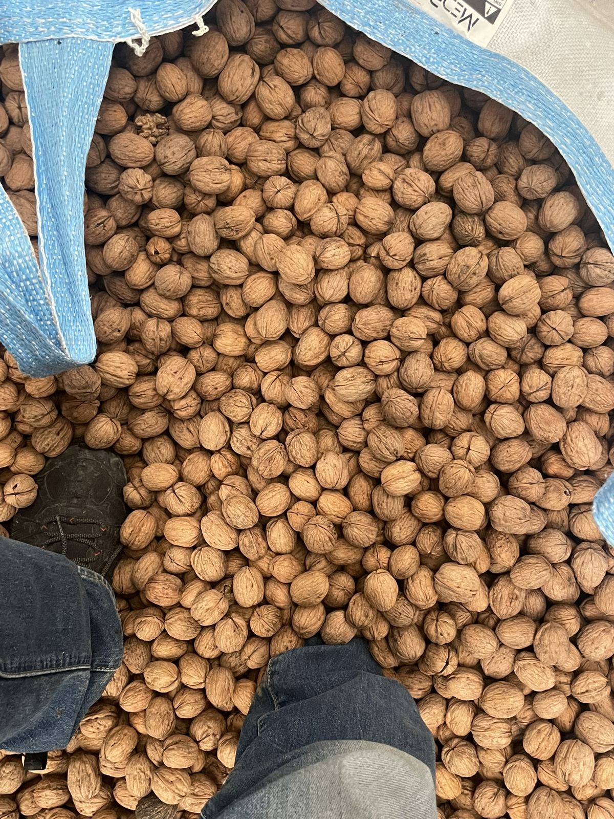Nueces listas para empaque