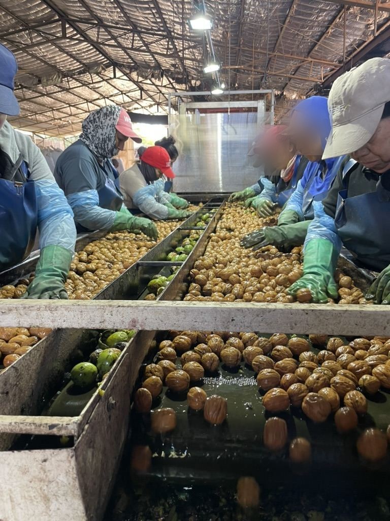 Selección y control de calidad