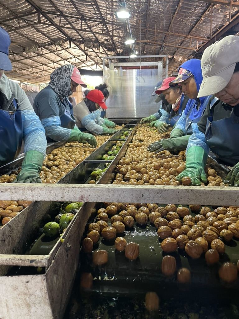 Selección y control de calidad